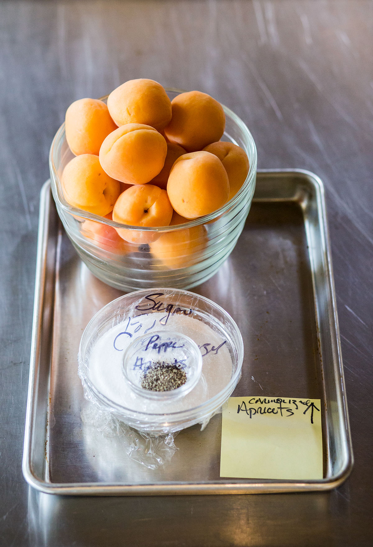 GoodStockFarm_apricots_LynneGraves