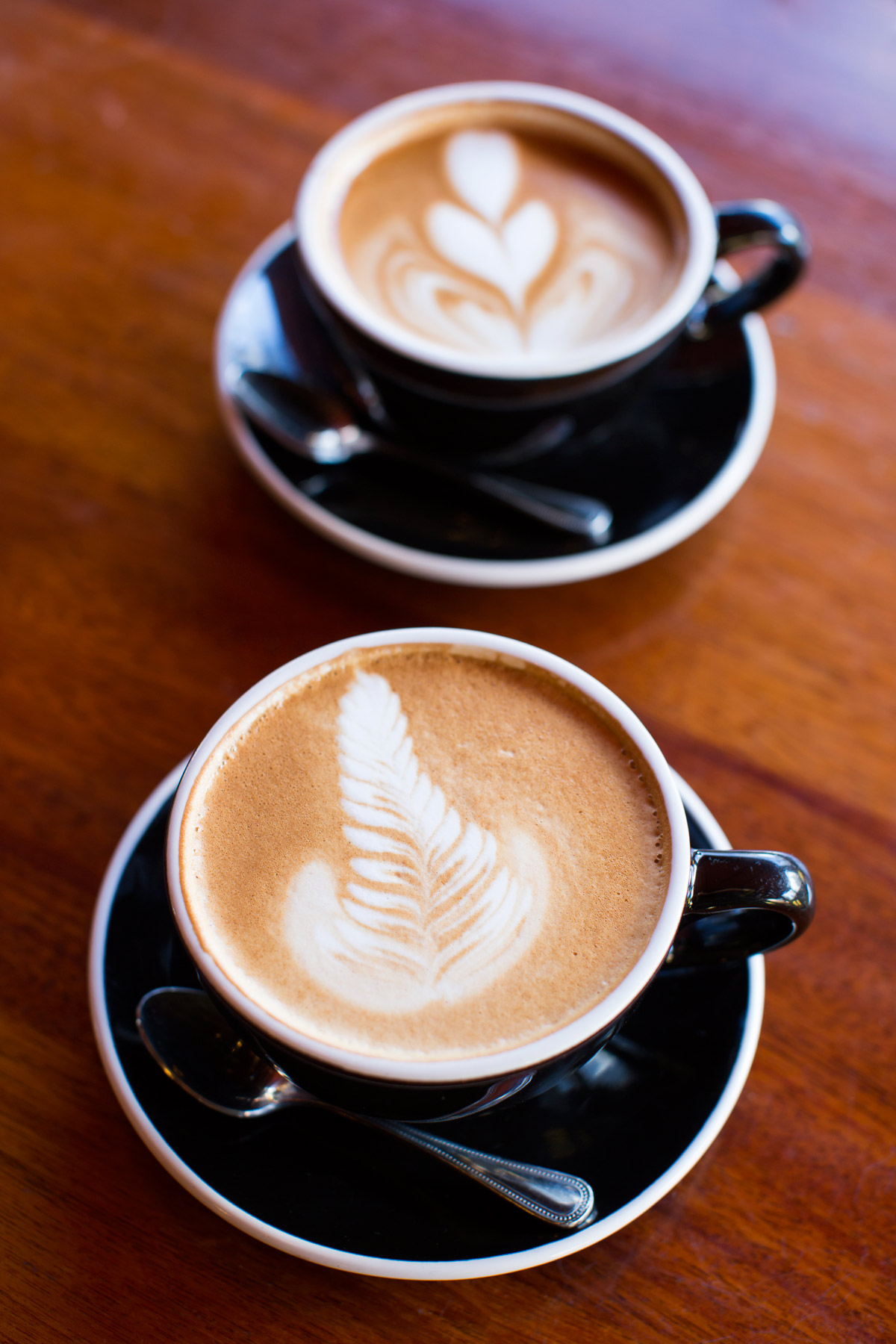 esselon_Coffee_LGphotography_stock