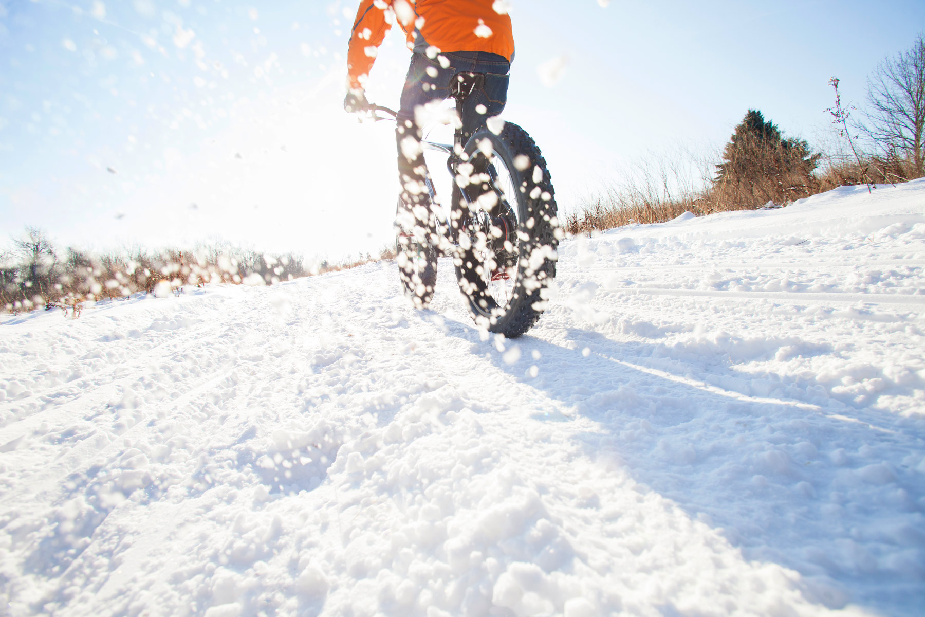 fatbike_fullcirclebikeshop_biking